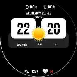 FlipWatch Copy
