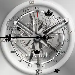 Herbststuerme Windspeedometer bis 150 km h Kompass Animation