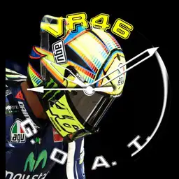 VR46 GOAT