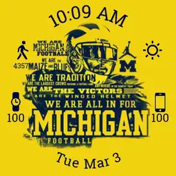 University of Michigan Watch Copy