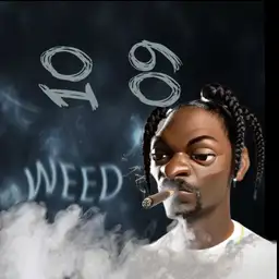 high crimes snoop puff pass