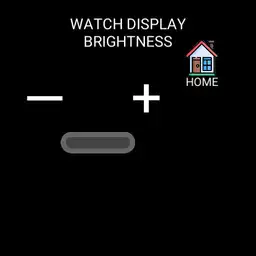 WATCH BRIGHTNESS
