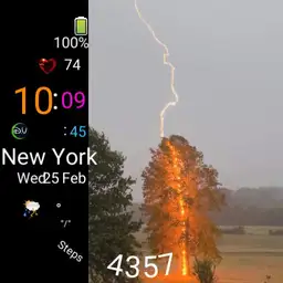 Lightning in Tree