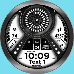 Seconds Dexcom