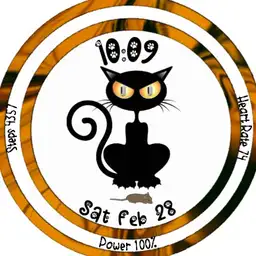 A Cat & Mouse Game