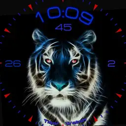 Tic 28 Tiger Watch