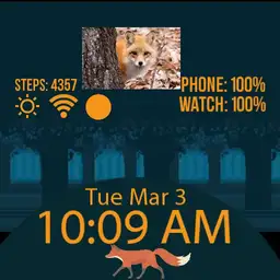 Walking Fox in Forest