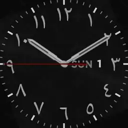 White Arabian Dials
