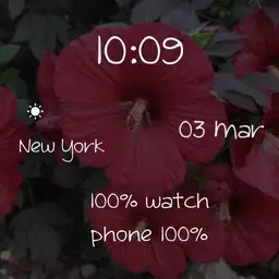 hibiscus summer by geri