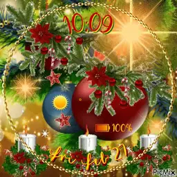 Elegant Ornaments