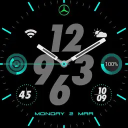 Petronas mercedes