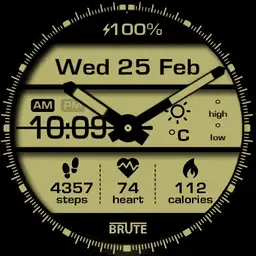 Brute ANADIGIT All In One Watch Colours
