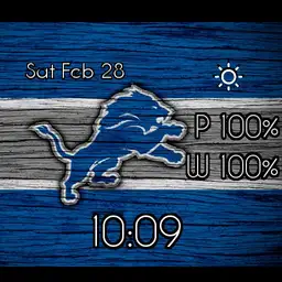 detroit lions Copy design credit to original designer