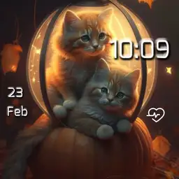brit cat in lamp