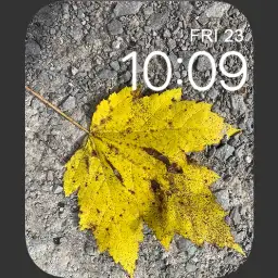 Fall Leaf