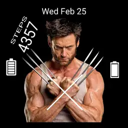 The wolverine