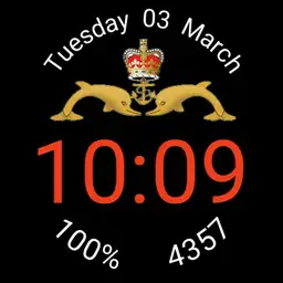 UK Submarines Dolphins