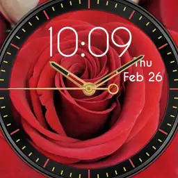Rose Gold