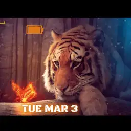 tiger Butterfly