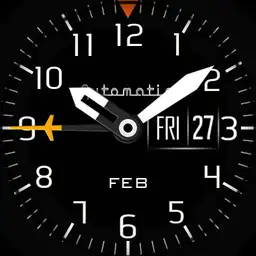 Field watch