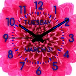 Pink Flower