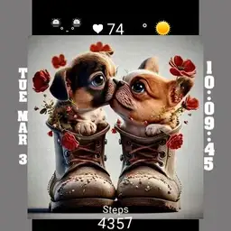 Kiss me now dog