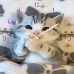 Cute cat biting its paw