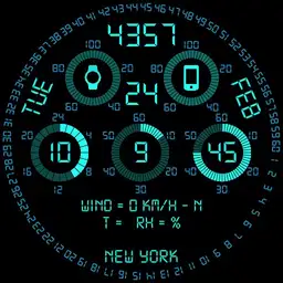 Radial Guage Copy 3