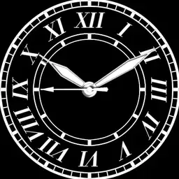 Brute R Minimalistic Roman Numbers Watch