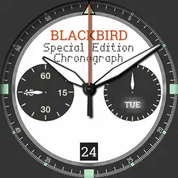 BLACKBIRD Dual-Chrono Panda