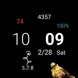 S.J.B.watch