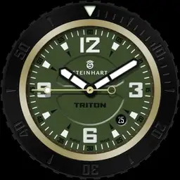 Steinhart Triton Military Bronze