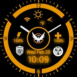 The Division Watch Face