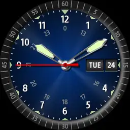 Military Field Watch Day date display