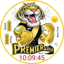 Richmond 2019 Premiership