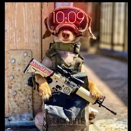 Army Dog