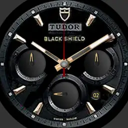 Tudor black shield