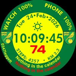 Minimalism Watch 3.1 NCFC 2