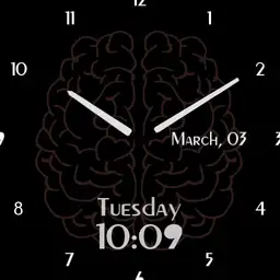 Brain optima