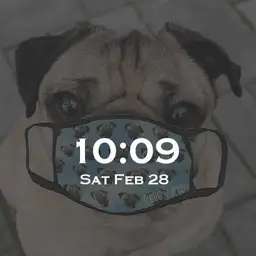 Pug Watch