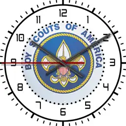 BSA Watch