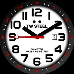 TW Steel Pilot Black and White