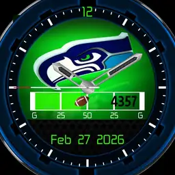 Football - Seahawks