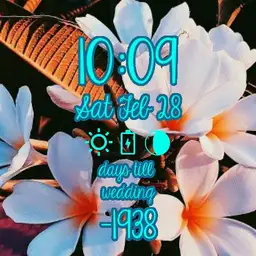 plumeria countdown