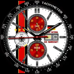 Germany National Team Modular ERP professionals