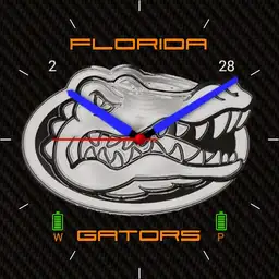 Florida Gator 2