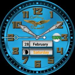 0070 Two faces