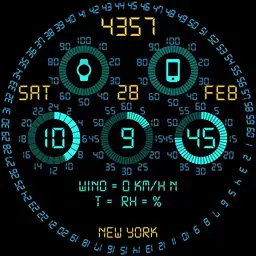 Radial Guage Copy 2