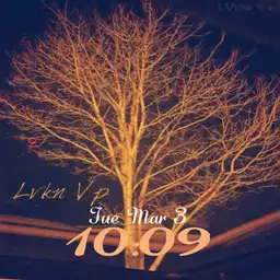 Lvkn Vp