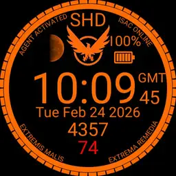 Division SHD watch